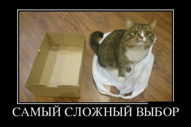 Демотиваторы