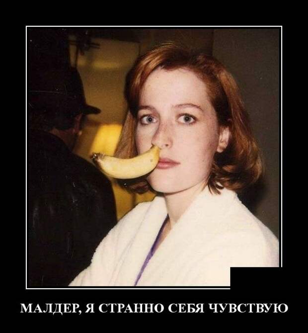 www.vsyako.net