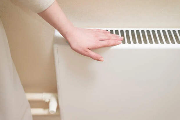 Вентилятор вместо обогревателя: эколог Лакустова дала совет, как согреться в холода и сэкономить