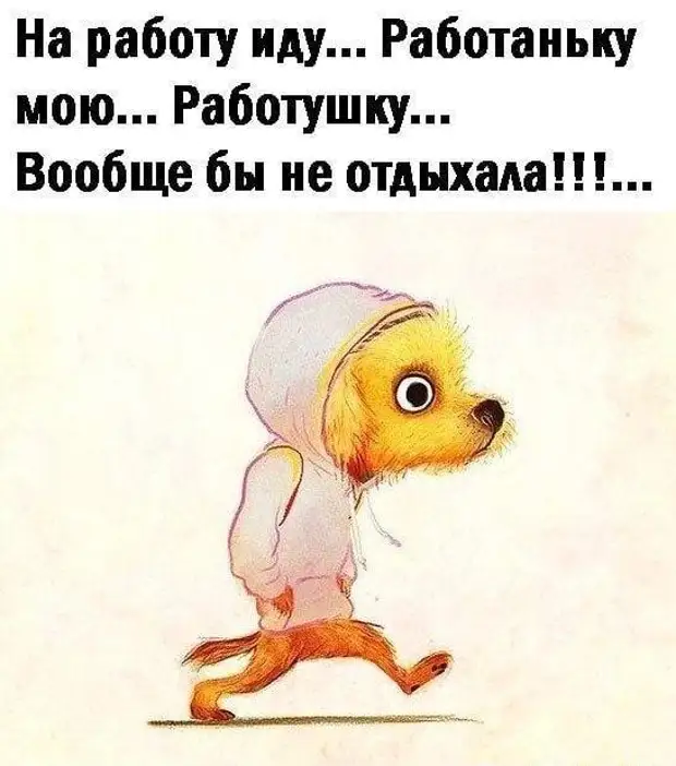 спать прикол. бесит работа. прикольные идет. бабки идут на работу. прикольные идет.