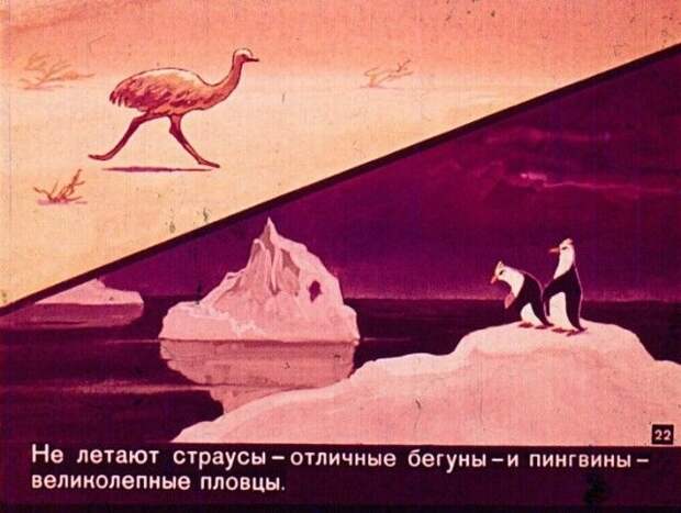 Диафильм вместо учебника по географии
