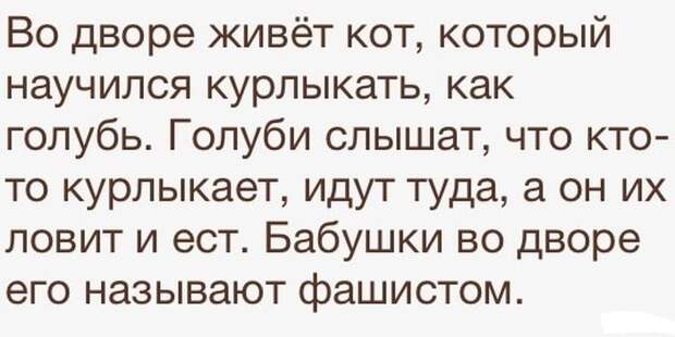 Прикольные картинки картинки из сети, прикол, юмор
