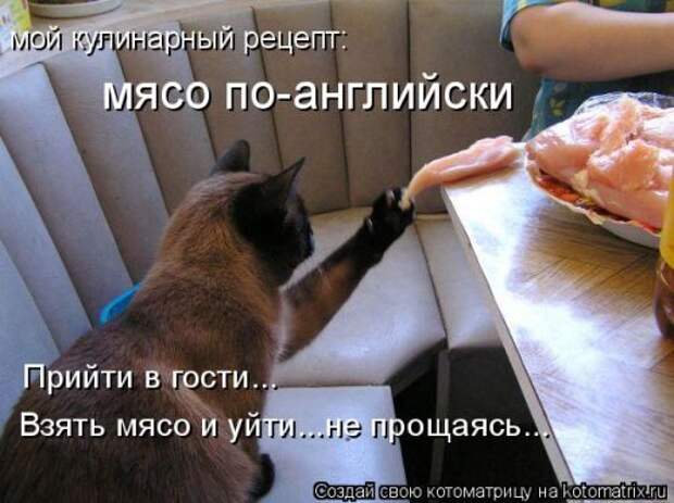 Воскресная котоматрица (16 шт)