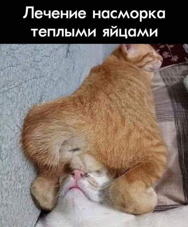 всякие картинки на ночь вам
