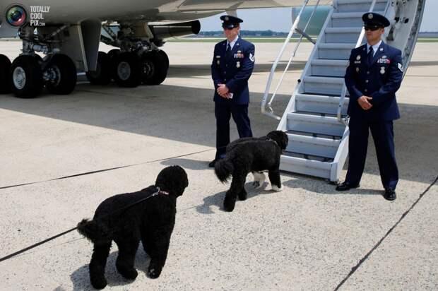 2016-08-06t192258z_2102605755_s1aettxwryaa_rtrmadp_3_usa-obama__tcp_gallery_image