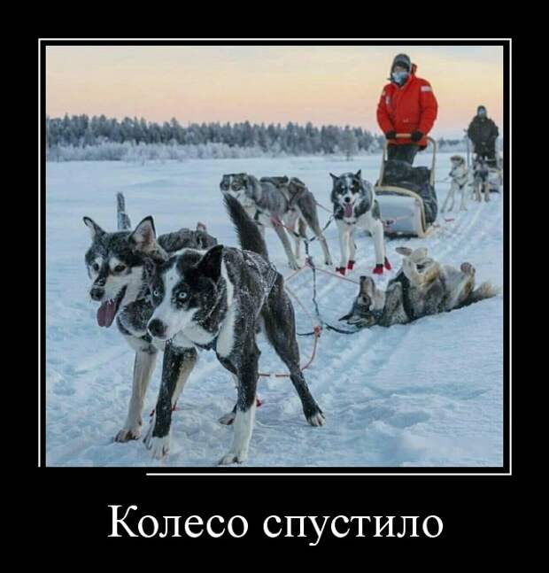 www.vsyako.net