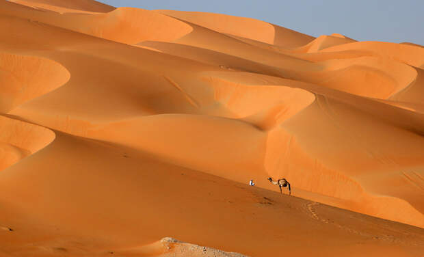 Хозяин и его верблюд в пустыне Лива в эмирате Абу-Даби