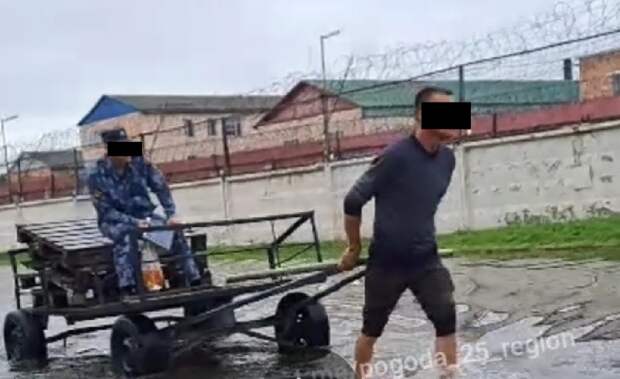 Заключённый в телеге везёт конвоира: Резонансное видео дошло до ФСИН