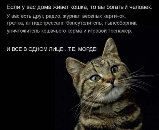 Так себе картинки