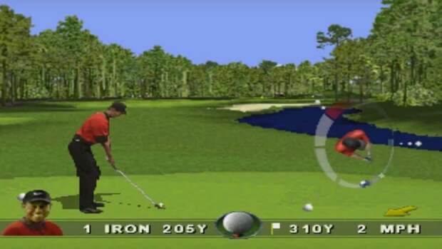 Tiger Woods 99