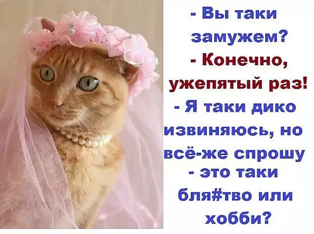 Царевна-лягушка скачет по болоту, а в боку стрела торчит...