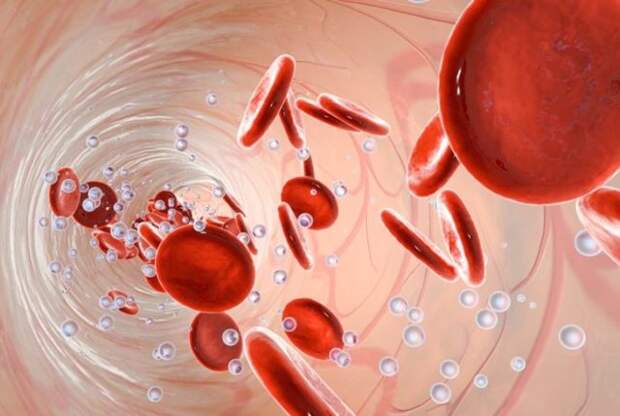 Почему бывают повышены эритроциты в крови у ребенка или взрослого -  Медицинский колледж №6