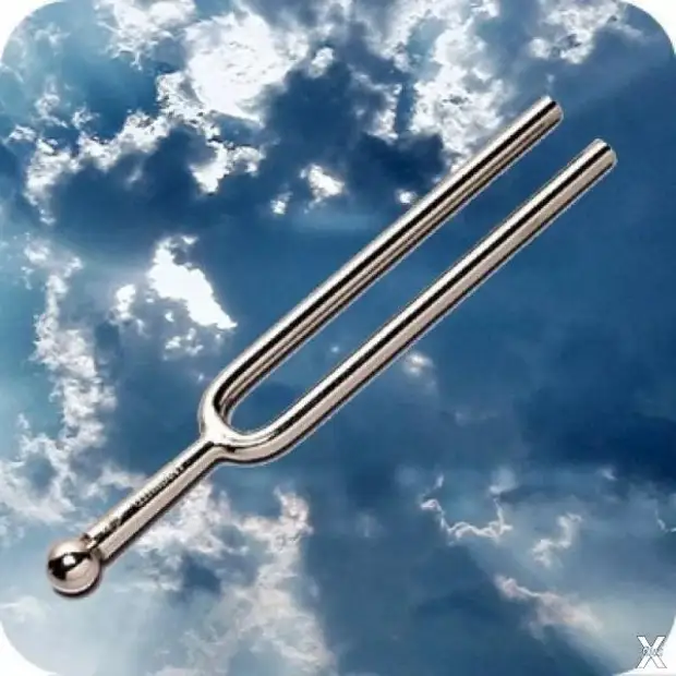 Обыкновенный камертон