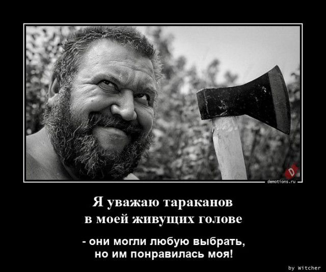 1599721000_demy-7.jpg