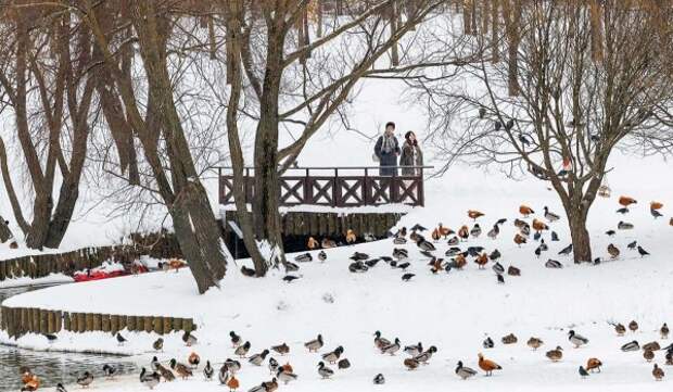 Облачная погода и до 15 градусов мороза ожидаются в Москве 3 февраля