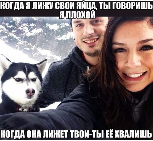 Пятничные демотиваторы для веселья (10 фото) Пятничные демотиваторы для веселья (10 фото)