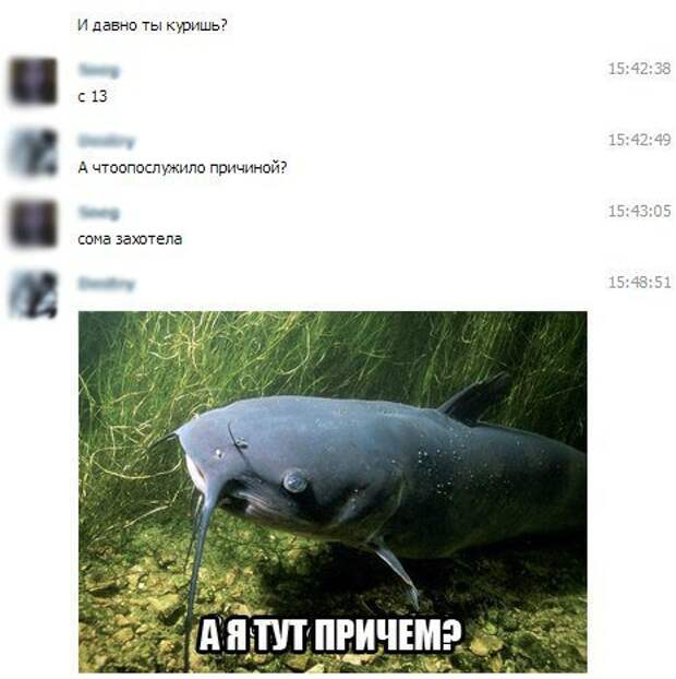 Писанина