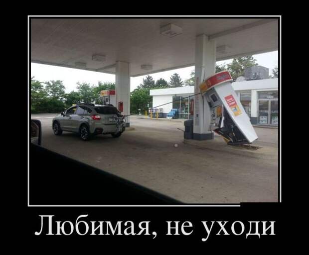 Демотиваторы (20 фото)