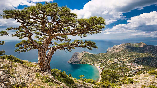 Крым и Донбасс удалось связать сухопутным коридором