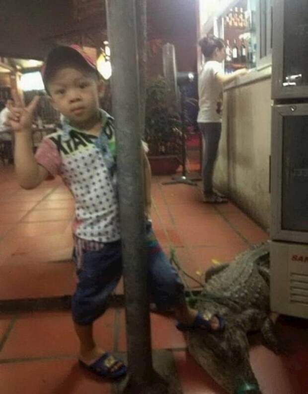 А у меня в детстве был хомяк А у меня в детстве был хомяк