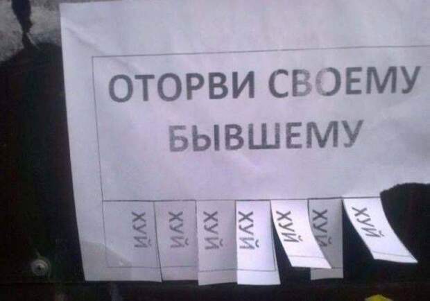 Прикольные картинки