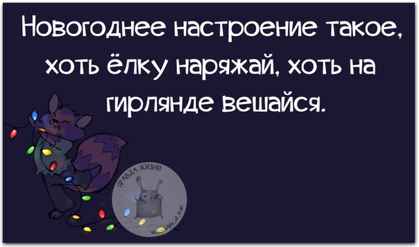 Немного новогодней «Правды жизни» (30 картинок)