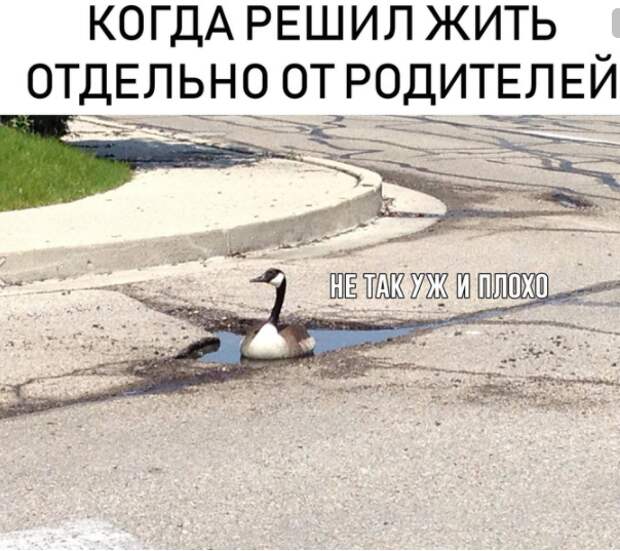 Психологические аспекты аренды жилья. Часть 2