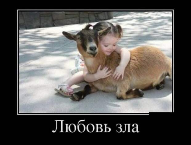 Так себе картинки