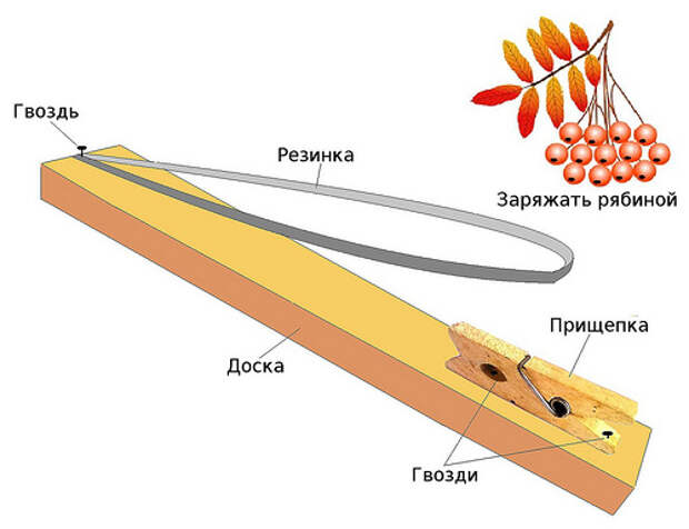 Самострел Самострел