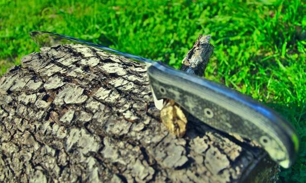 a-very-polished-knife-blade