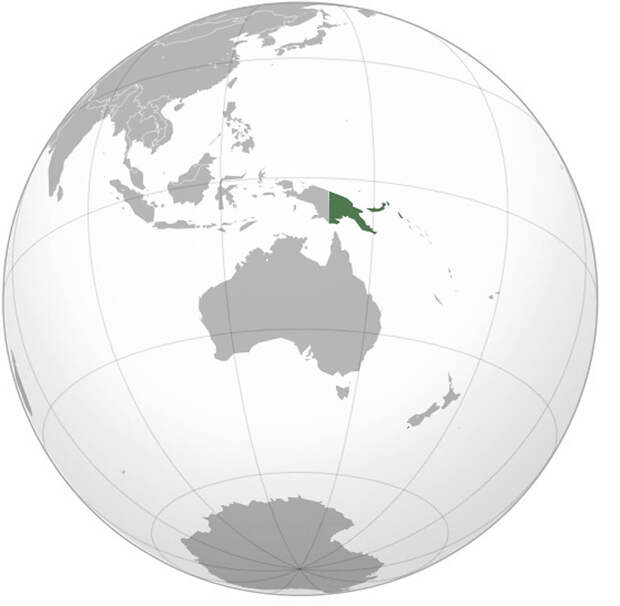 4146 Папуасы из Новой Гвинеи