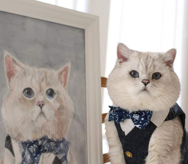 KxBAXY6NP50 (700x613, 267Kb)