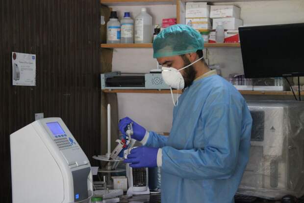 Independent: в Индии пытаются остановить вспышку смертельного вируса Нипах