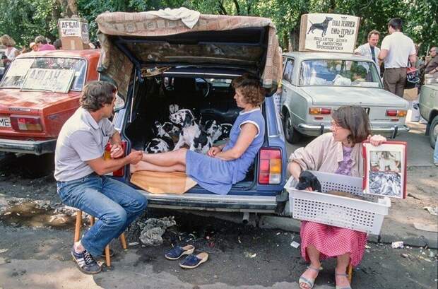 Выездная торговля домашними животными в Москве, 1991 год
