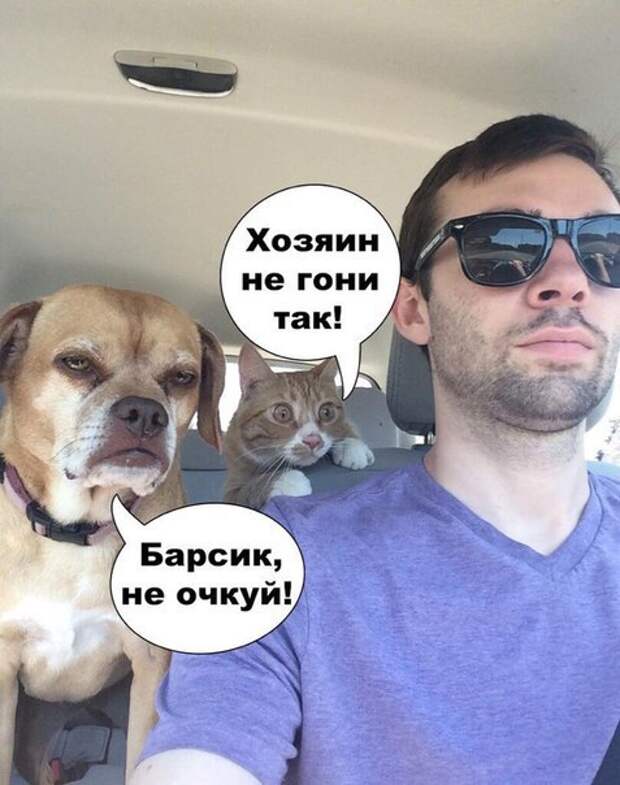 DmRHk8hidx0