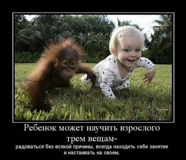 Так себе картинки