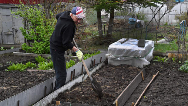 Дачников предупредили о новом штрафе до 50 тысяч рублей