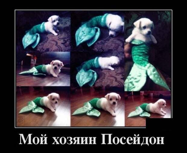 Демотиваторы (30 фото)
