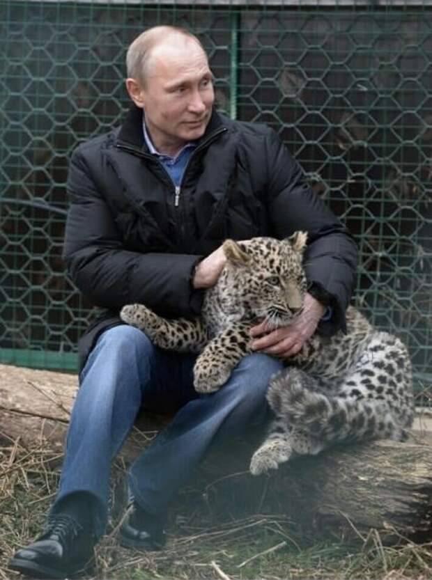 Время до мая ...