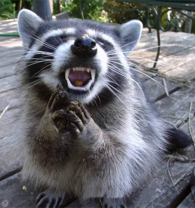 А мы милашки! 6