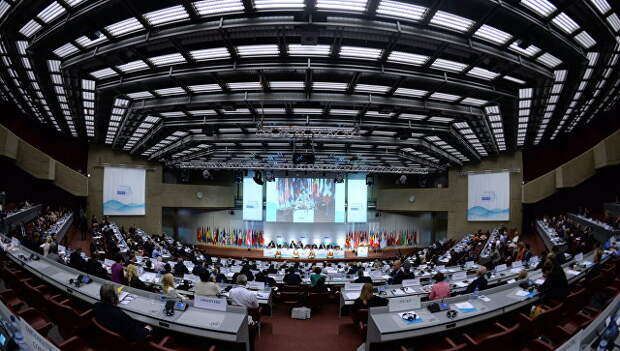 Парламентская ассамблея Организации по безопасности и сотрудничеству в Европе (ОБСЕ). Архивное фото