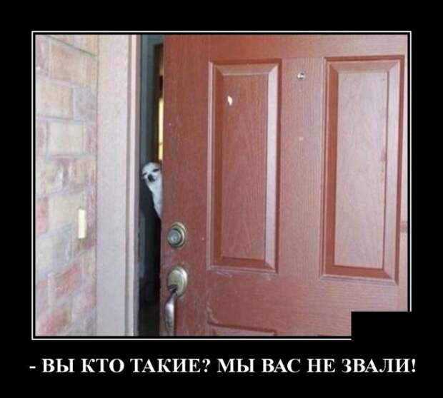 www.vsyako.net