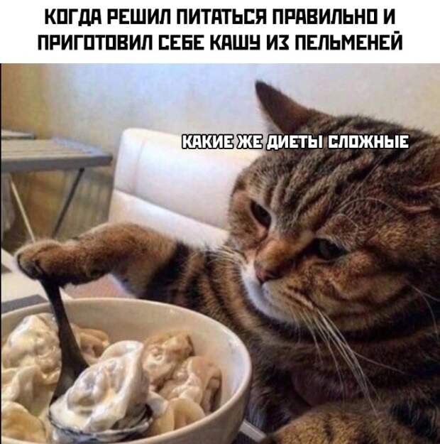 Смешные картинки 15 июля 2021