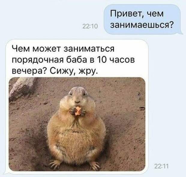 Подборка картинок. Вечерний выпуск (33 фото)