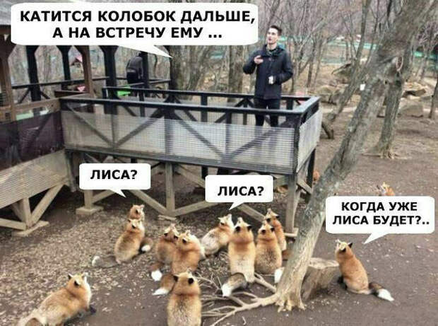 изображение: Катится колобок дальше, а на встречу ему ... - Лиса? - Лиса? - Когда уже лиса будет? #Котоматрицы