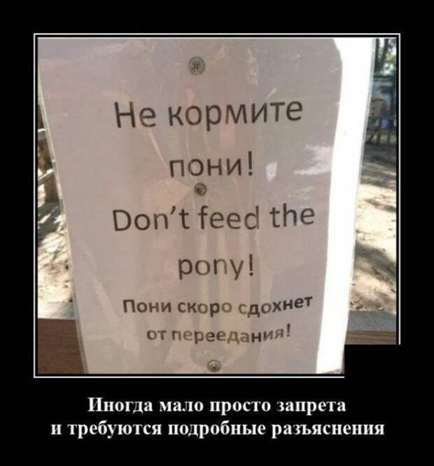 demotivatory-demotivator-smeshnye-demotivatory-demotivator-so-smyslom