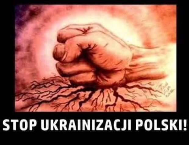 Поляки не рады украинским гастрабайтерам: «Убирайтесь из нашего дома!» Поляки не рады украинским гастрабайтерам: «Убирайтесь из нашего дома!»
