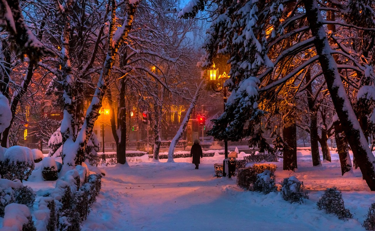 Мысли Дня