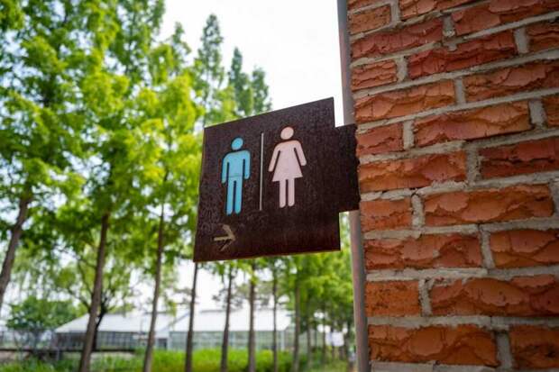 С начала 2022 года питерские общественные туалеты стали бесплатными