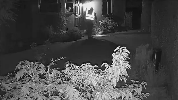 Молочник, пнувший ежа, оштрафован за причинение "ненужных страданий"